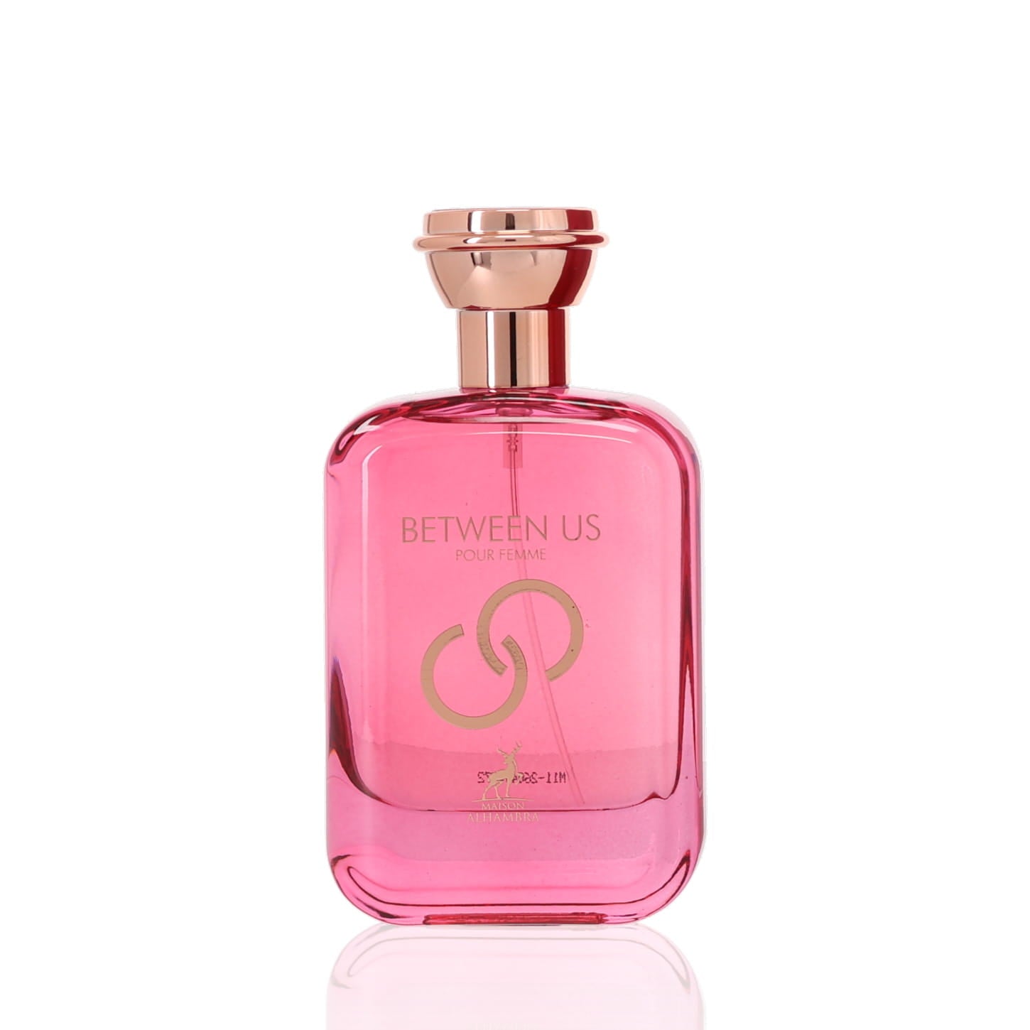 Discover Now Lattafa Between Us Pour Femme – Fragrancebuy.ca