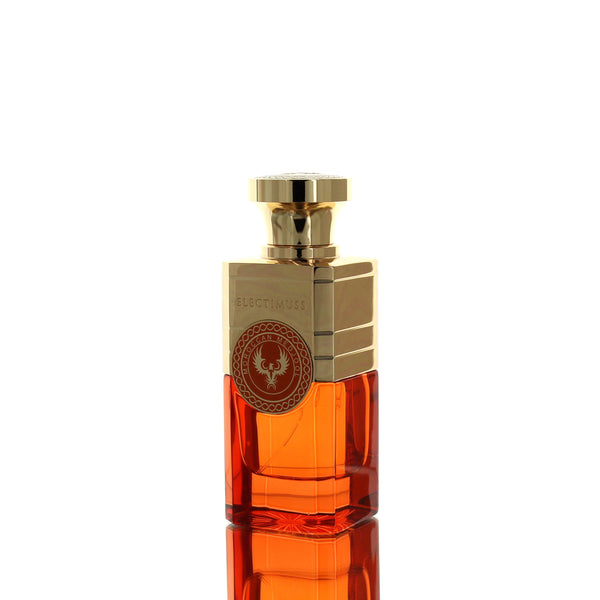 Moroccan Medjool: Top Deals & Prices Online in USA & CA